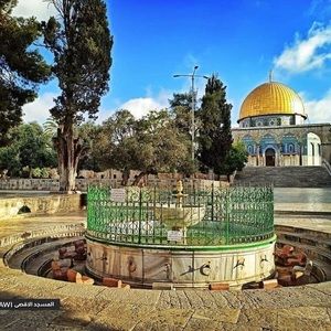 Meet your Posher, Fazliddin